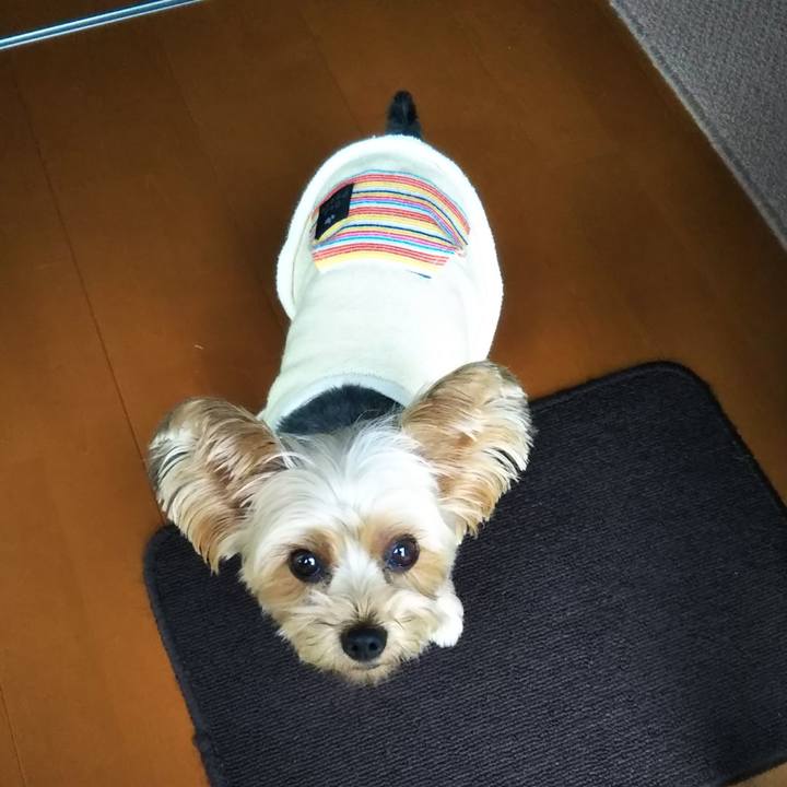 6a1e41da 273f 44fc aa69 e16d17e3a79d 1603172898708