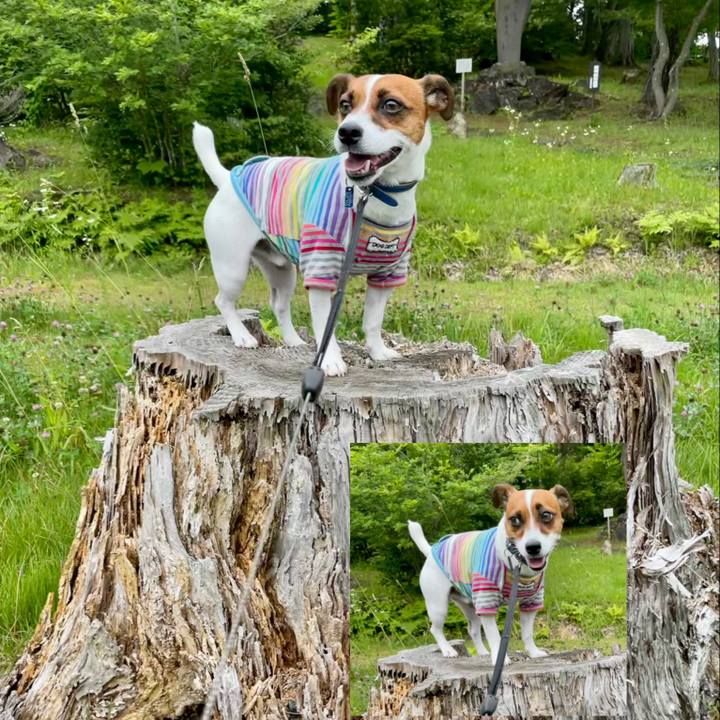 6a1e596a e8fc 43f4 a8d2 4e64d768d1db 1625225458888