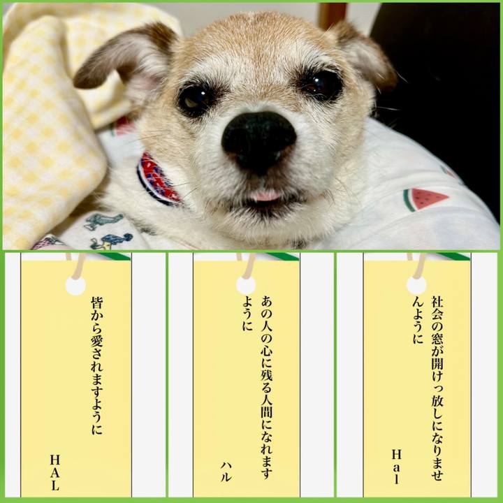 6a1e69cb f85d 4892 85cd 9d6988e945c6 1688726724417