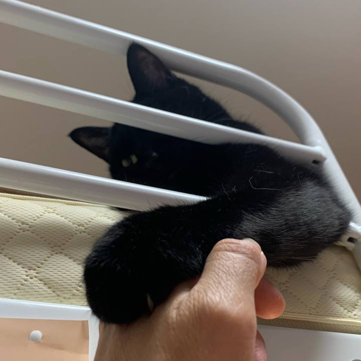 6a1e7a4d 55e6 4f34 8dd7 0faeda2e5e9b 1624049532231