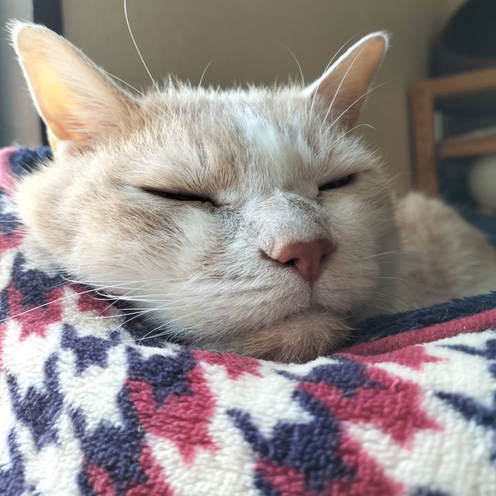 6a1f184e 1ace 4e7a 81aa ebde24622f42 1660365540672