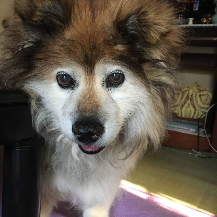 6a1f4fc6 b30d 4202 b624 5c476441aa43 1600833535934