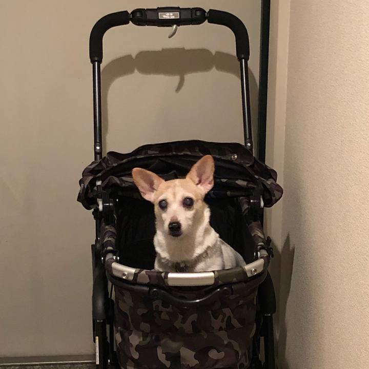 6a1f51a8 ab14 4d1f b2d0 b039f95354e7 1542098833245