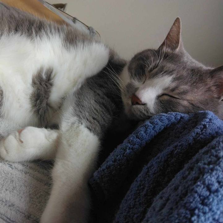 6a1f6548 febb 472b 80d2 45c44b117ce6 1715486477165