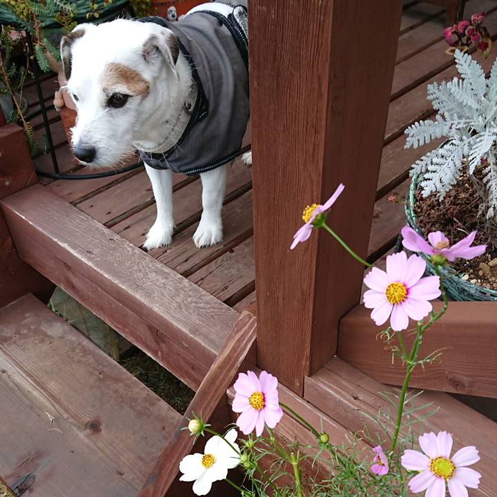 6a1f7dae b20e 4c73 9f30 0595cad99883 1540250686828