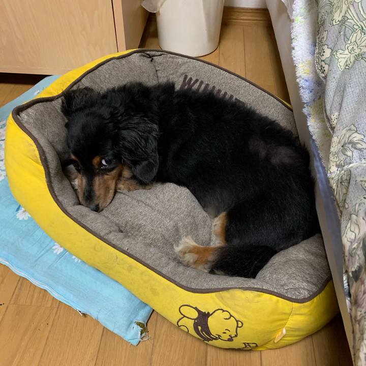 6a1f892a 4084 4a2d 9a22 bafdea407087 1568238679878