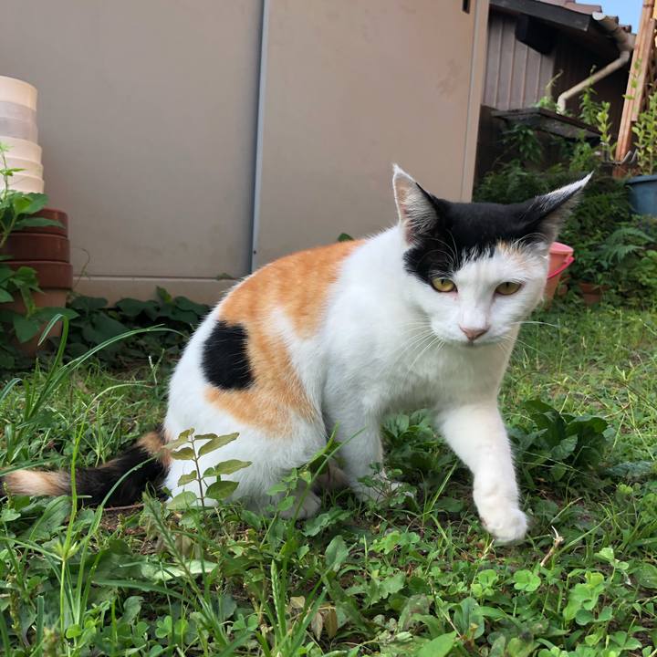 6a1f8fb3 0bed 46b0 9f89 d101b8953471 1598220039468