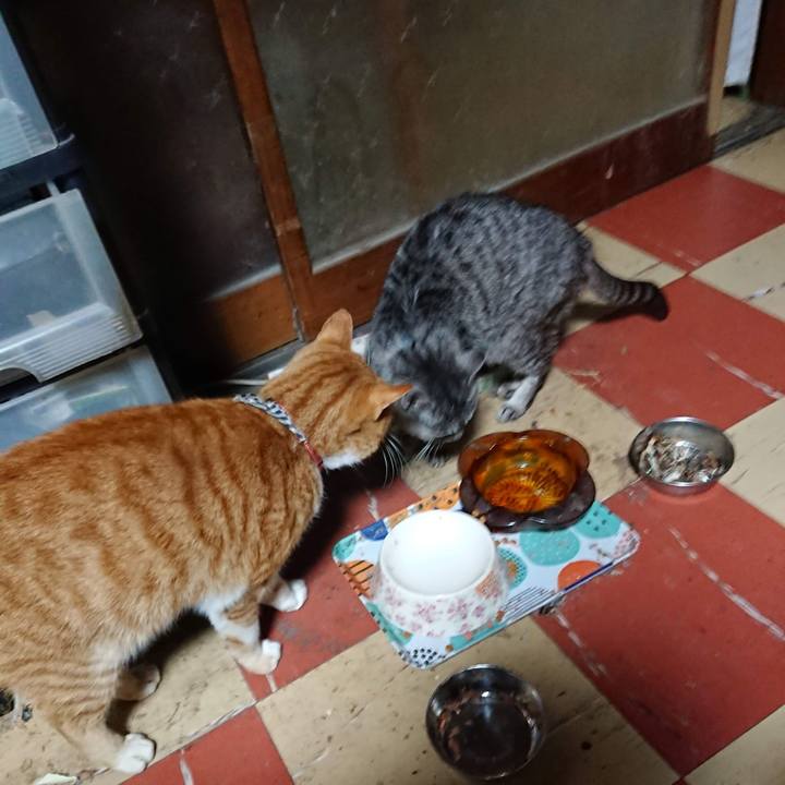 6a1fb9e1 4f06 4523 b062 baeacef21500 1605655808897