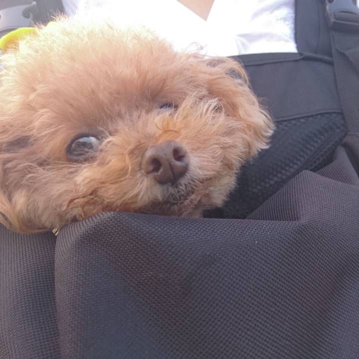 6a1fce3a 14a7 4d77 b080 03b5c17e51bf 1564318515881