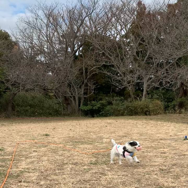 6a1fd4e4 f403 48d9 bf92 64bce2551db1 1708067377731