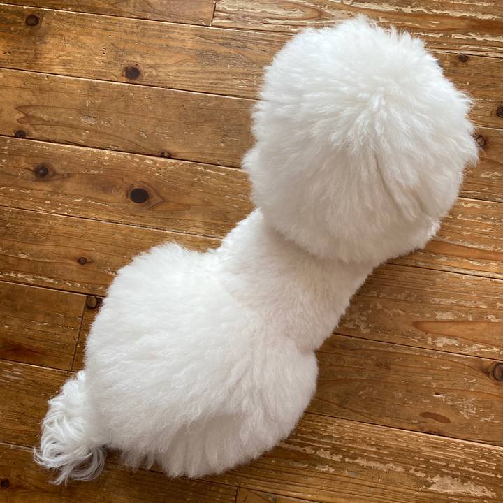 6a1ff820 e273 4ee2 b40b 2f0f3b057890 1606006035431