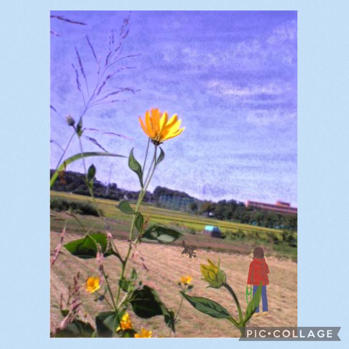 6a200d2a b0db 4cdb bddc 34dc18e2b438 1666158250475