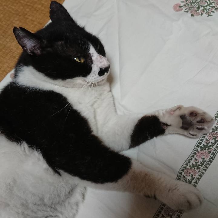 6a20641e 821e 4caa 9356 8371df12f687 1565306222043