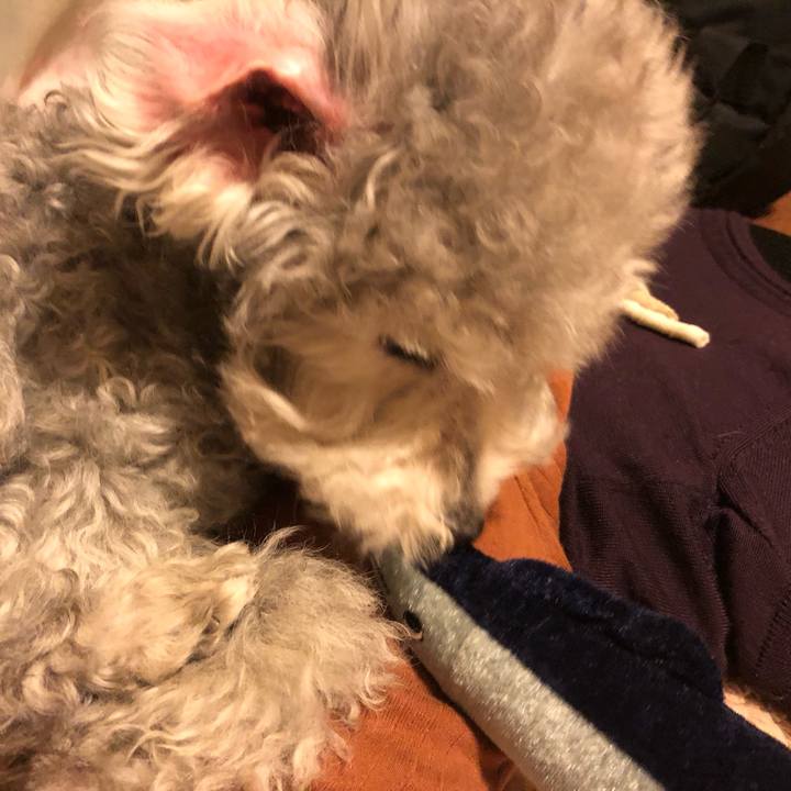 6a20a35c 1aa6 48f8 b5cd bd5fd7f920d7 1557443776878