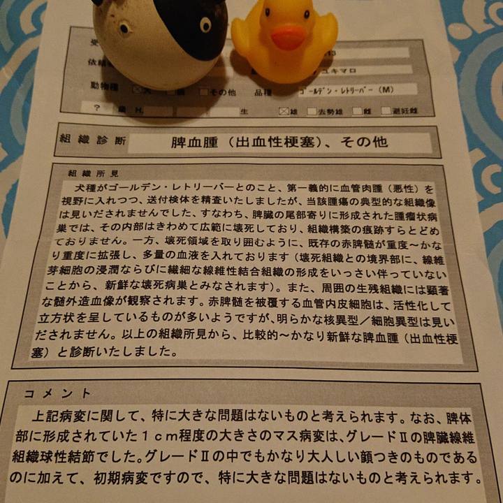 6a211e5e 591e 4c77 8b05 6438641e1364 1568123898542