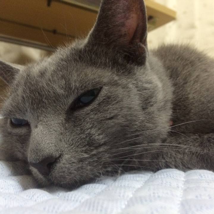 6a2125a7 de01 4f2c 8283 6ef7ef04f8a5 1511173699930