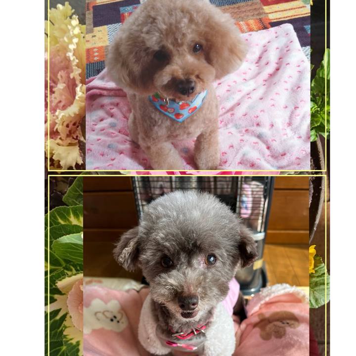 6a2134b7 2b4e 49cb abf9 ea7eb9e938d6 1708925886077