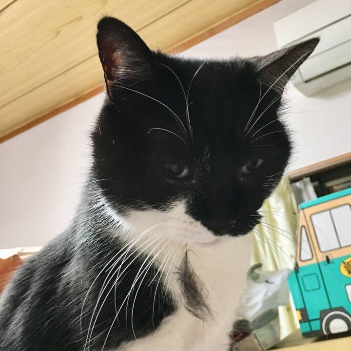 6a215ab1 c4b7 41a5 a2d7 243b150073e2 1527559640830