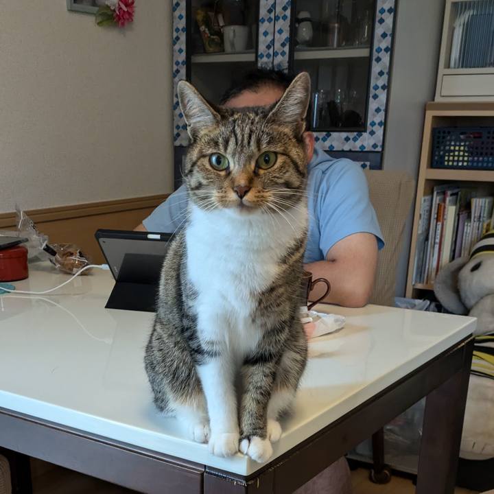 6a215bec 6eff 4fc9 954d 3b03d70e3b62 1721013845698