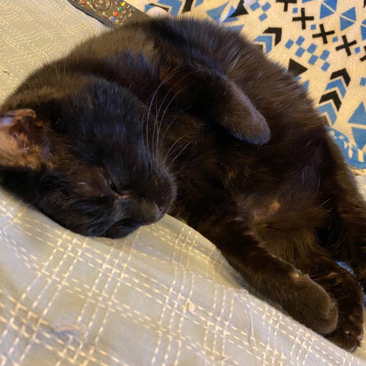 6a218f09 be3e 4a76 ae5b 782d3b2648f5 1665562993607