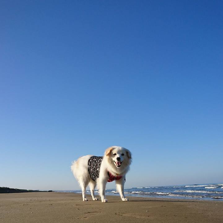 6a21c7d4 0341 4a89 a592 f2f7efb8ebb0 1550405578016