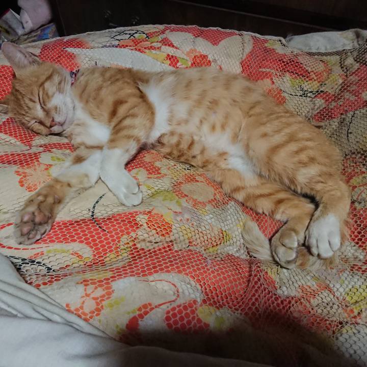 6a222f12 3440 451c b71f c68420b1ba8e 1559315011999