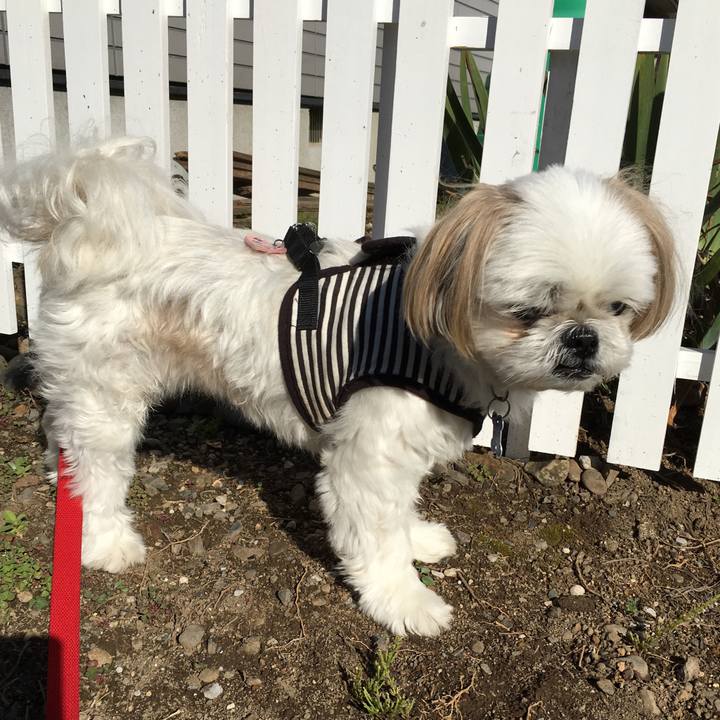 6a223ddb 9b96 437d 89d2 385506e50822 1540861447446