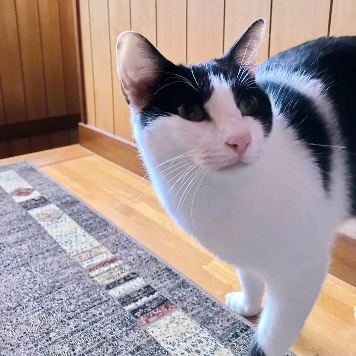 6a2253dc 3cfb 41fb b72d b08056fa8506 1508907335719