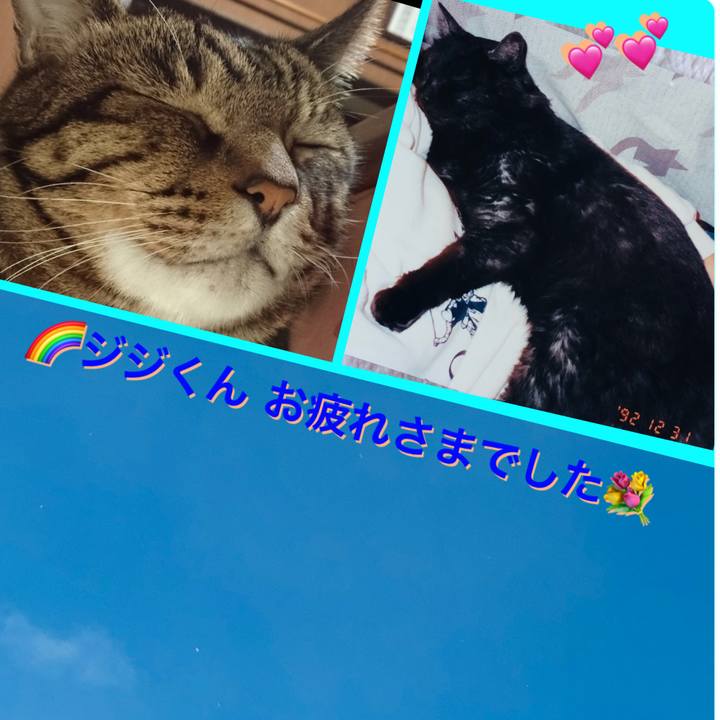 6a22843b b299 4686 bf53 cfc3f0d7e39b 1609395258489