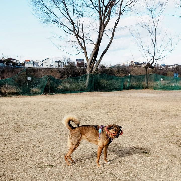 6a228853 0a56 4003 8270 8fe6a4539132 1772866940247