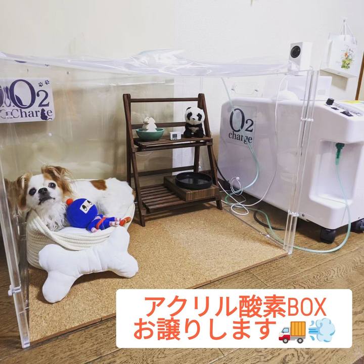 6a229387 c1fa 41af b21c 8b6d8f49bf14 1686971320082