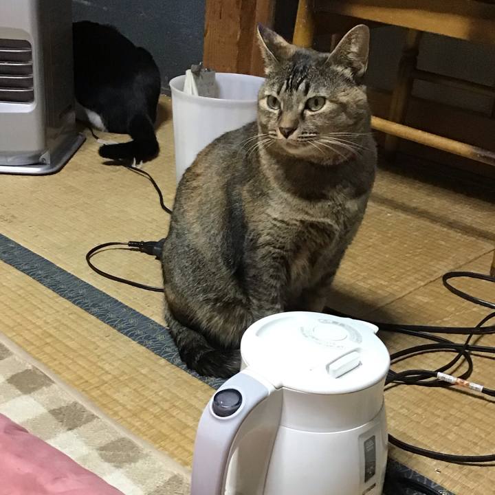 6a236296 898c 4130 9c40 d44730c9ff92 1671365071215