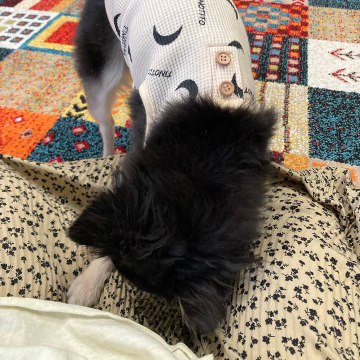 6a23ae5f e9ab 4bad a3ec 6601147dcdad 1699025937018