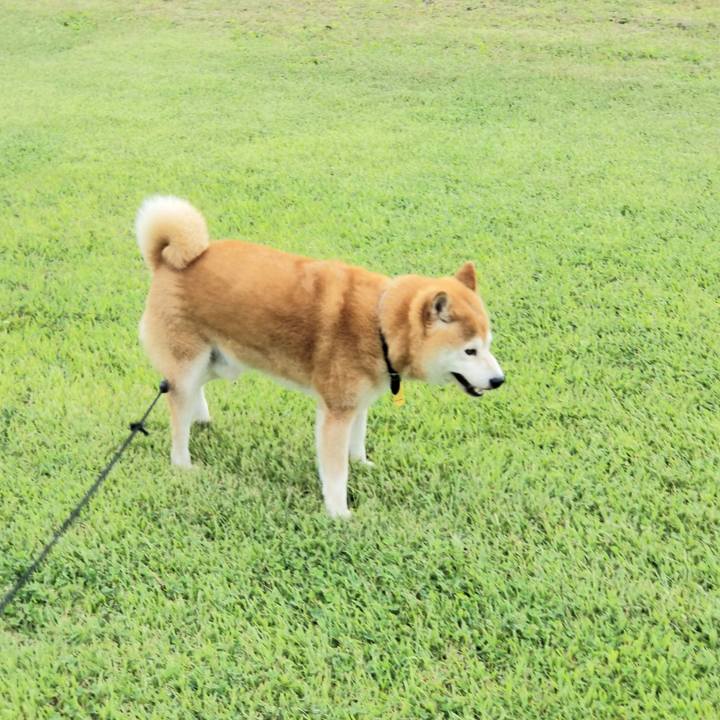 6a23bf93 fdd0 4d08 9194 c8eefd72e9d9 1624517796835