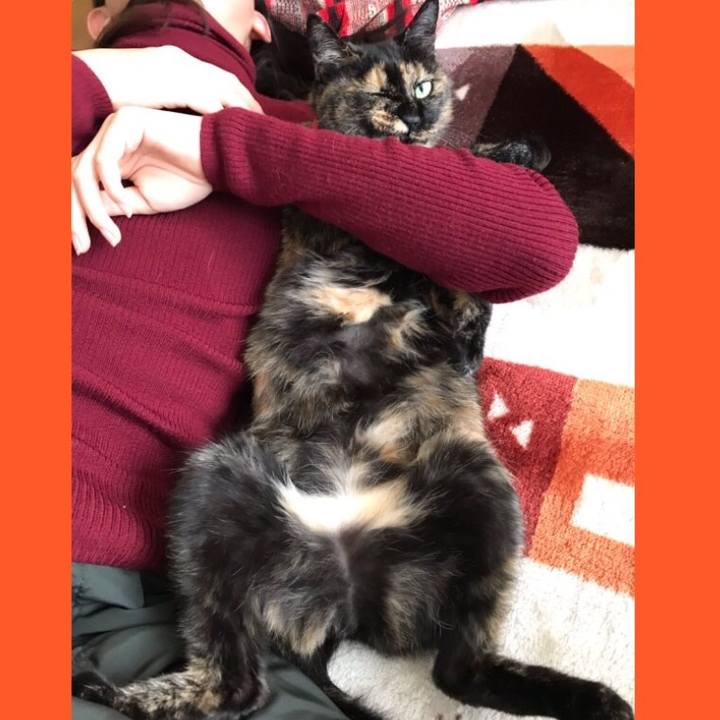 6a23c7d3 0071 4bfa bad9 ffa40786a34c 1545977490704