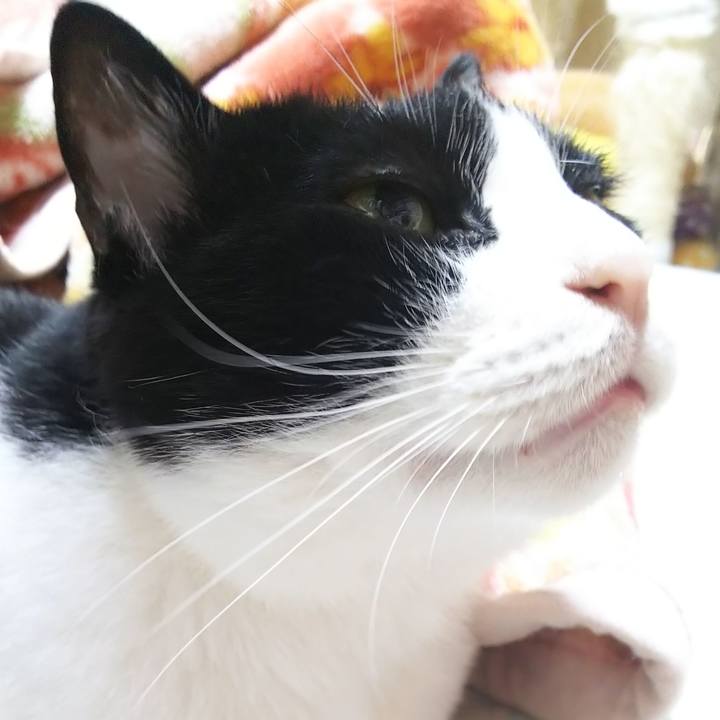 6a23fd6c e58f 47d5 918f b51da22bea2b 1560037546122