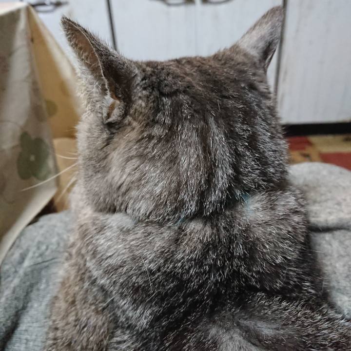 6a243438 5914 4323 aa61 f5c2e16fb7d2 1571884234457