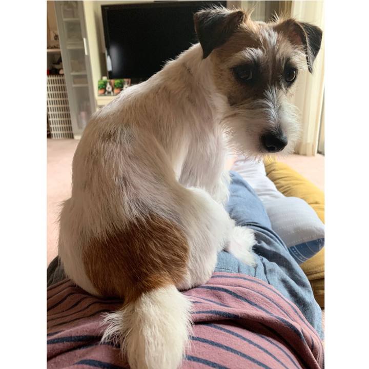 6a243f69 a361 45c1 bec3 302e51b6b2ad 1592547085923