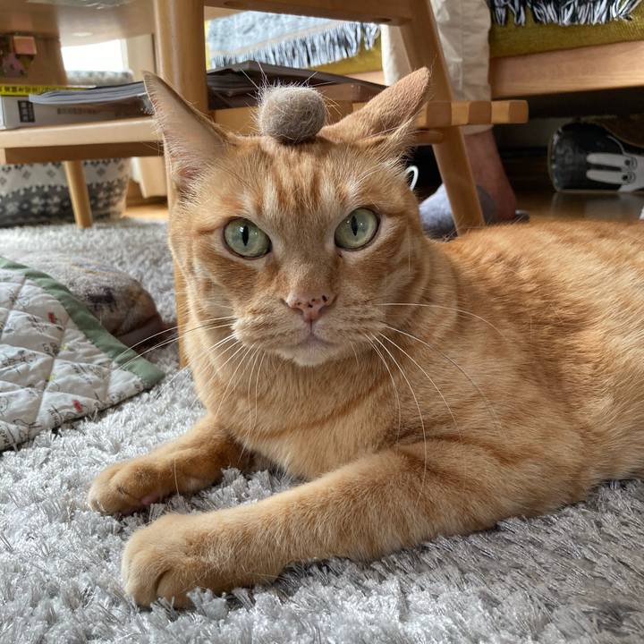 6a247911 bd67 45fe a1bd 4f651da9b8c6 1697456788304