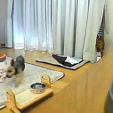 6a24a349 e755 4d24 a7ff 79a2b6fbeca2 1540815056416