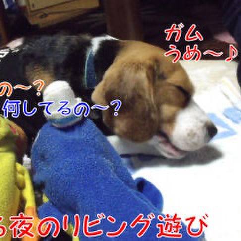 6a24b8e5 a475 4418 bdb6 0869c14cb59b 1704926406228