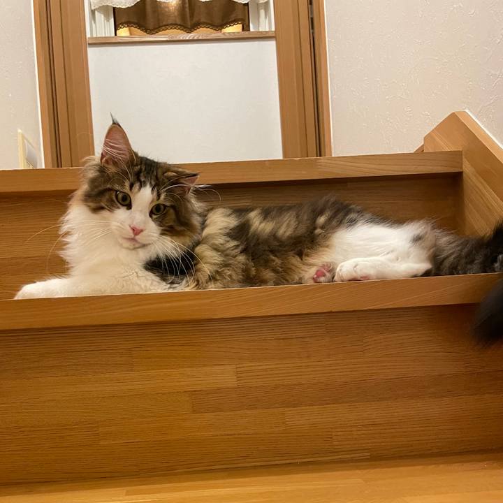 6a24c84d dd3a 45f2 8504 c317851f74cc 1638907774422