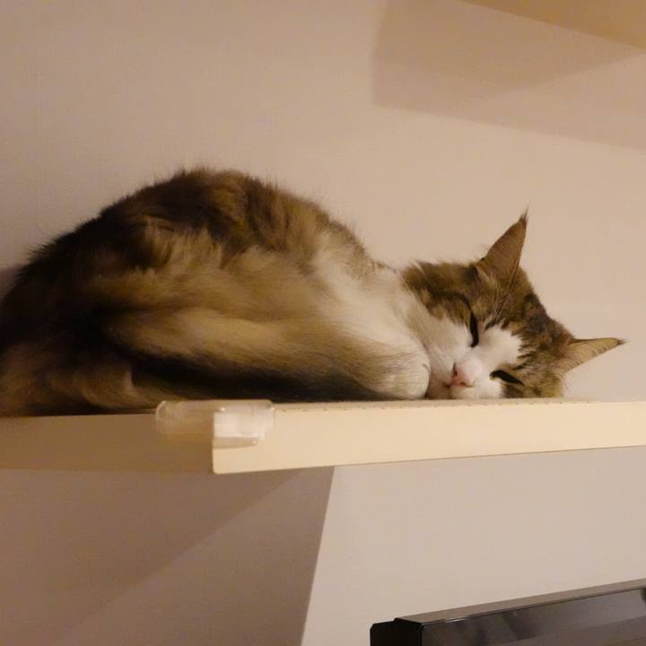 6a24de3b 1fc7 4d12 a6fa 1be067c20ea1 1595599717792