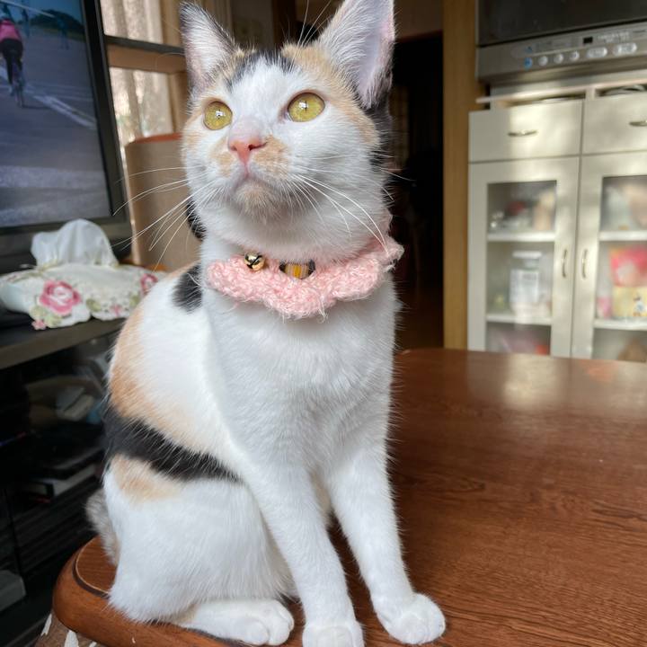 6a252953 b9fd 4231 91a8 4fa30f5a8d96 1667776013043