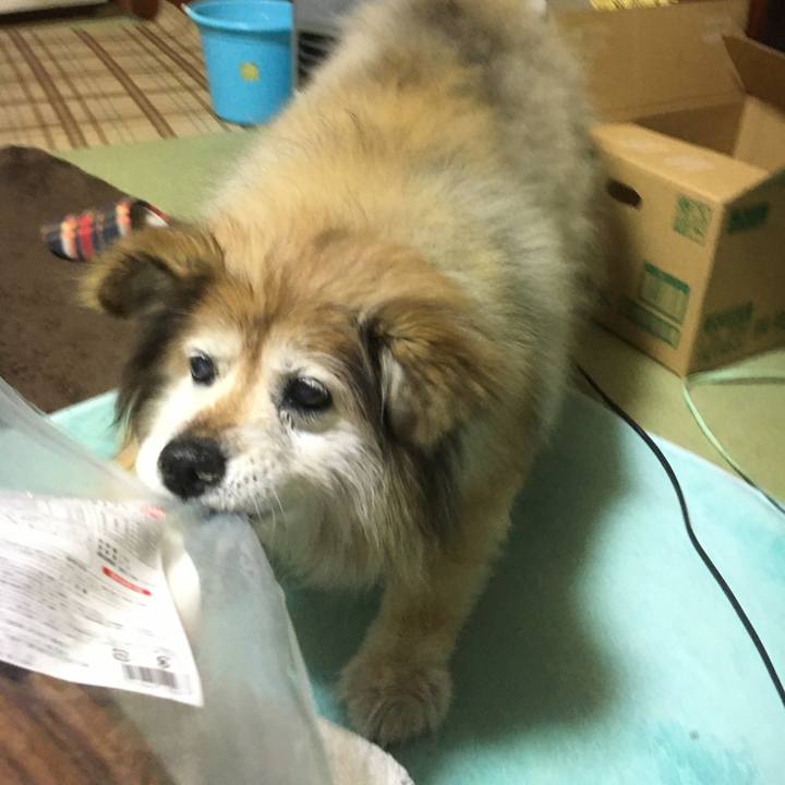 6a254a08 7388 4f02 a39e 87549a509525 1581997149573