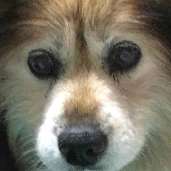 6a25611e 54a2 489a ada6 003f5f28b88d 1569453561358