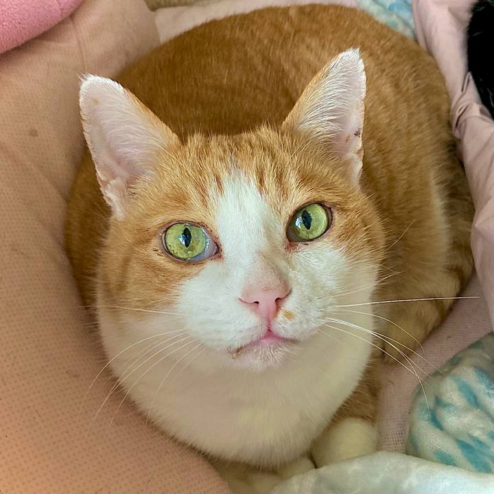 6a259905 5c4a 4522 a5cb 2b6f12aa4e1a 1645744381299