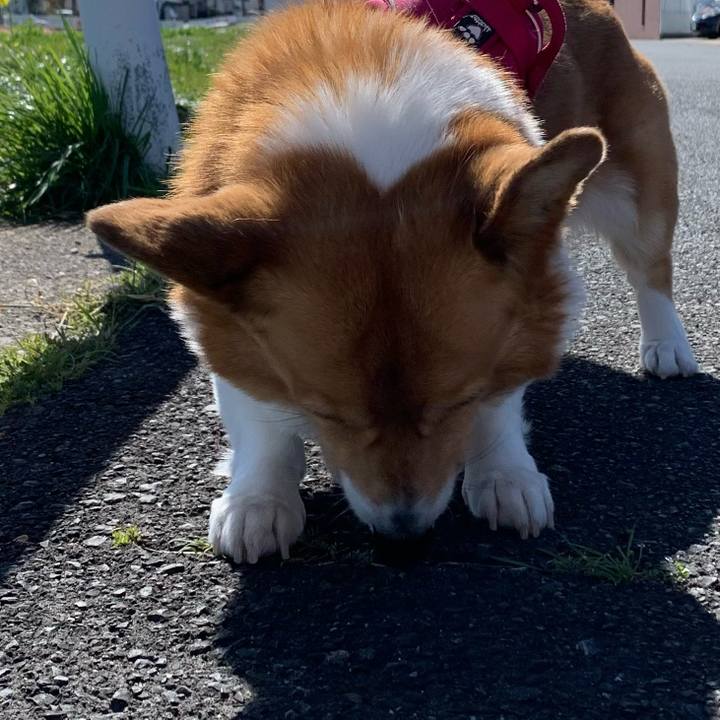 6a259bf7 9632 43bf b08d 009b049272e3 1709093975844