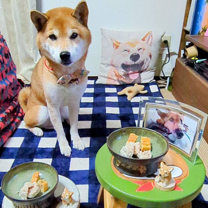 6a25da04 7329 4c60 9871 862a2782b6f1 1736328945873