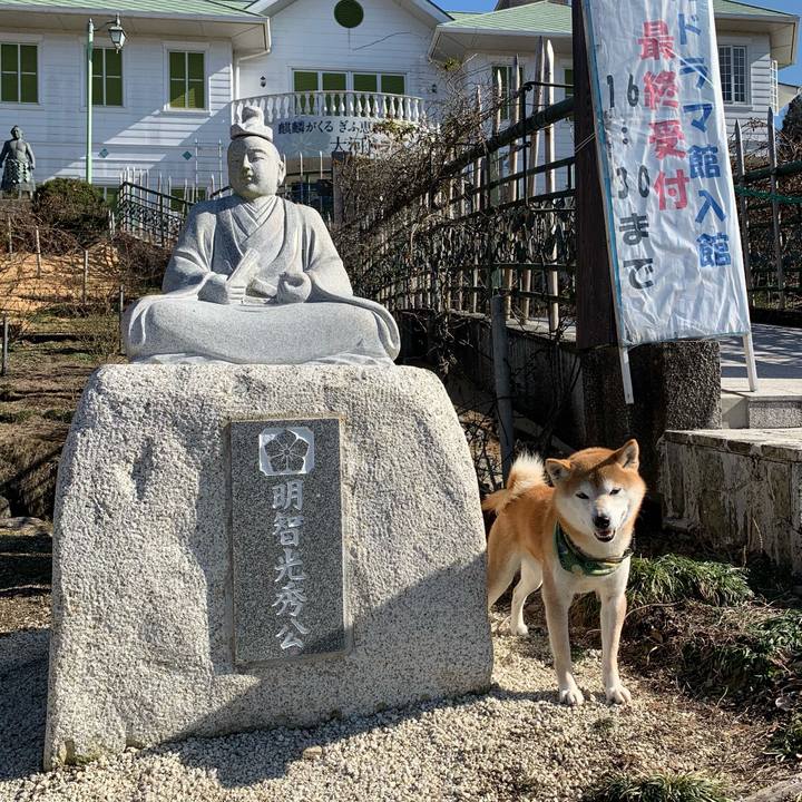 6a260cdb 92ca 44d7 a2e4 c3071239ab9c 1612684486511